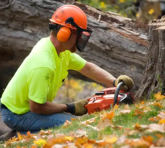 tree services Mechanicsburg